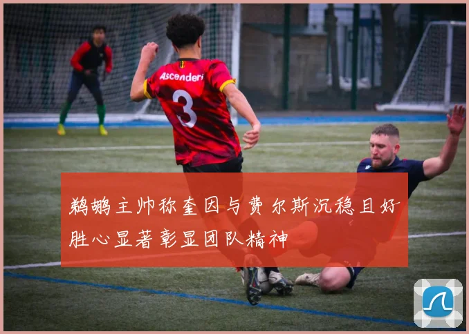 鹈鹕主帅称奎因与费尔斯沉稳且好胜心显著彰显团队精神
